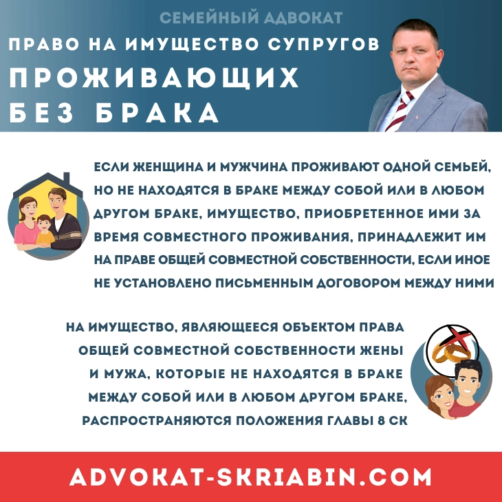 Право на имущество супругов, проживающих без брака — адвокат Скрябин