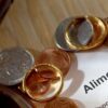 Alimony as a share of earnings